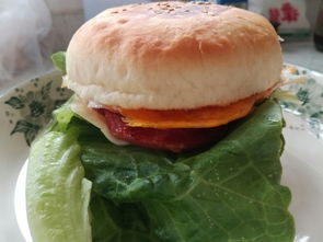 自制汉堡包胚的做法(成品汉堡包胚如何使用),第3张 自制汉堡包胚的做法(成品汉堡包胚如何使用),自制汉堡包胚的做法(成品汉堡包胚如何使用),第3张