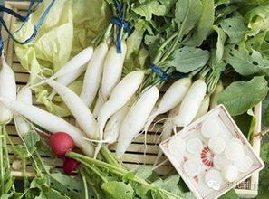 白萝卜的营养价值（白萝卜的营养价值及作用）,白萝卜的营养价值（白萝卜的营养价值及作用）,第3张