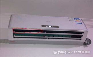 panettone（panettone意大利语）,panettone（panettone意大利语）,第2张