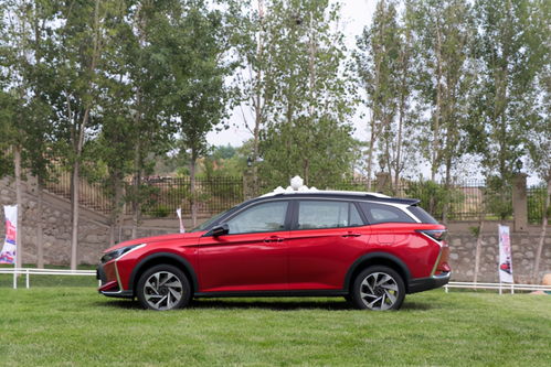 红砖尺寸（红砖尺寸24*12*5一立方多少块）,红砖尺寸（红砖尺寸24*12*5一立方多少块）,第2张