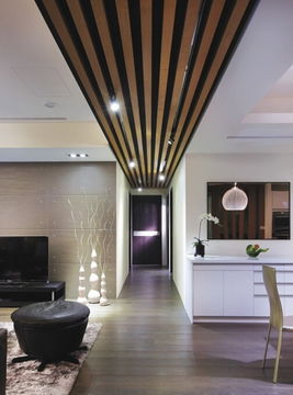 吊顶设计(吊顶设计应注意哪些事项),第2张 吊顶设计(吊顶设计应注意哪些事项),吊顶设计(吊顶设计应注意哪些事项),第2张