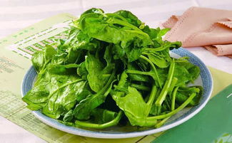 菠菜不能与什么同吃(吃菠菜的5大忌),第2张 菠菜不能与什么同吃(吃菠菜的5大忌),菠菜不能与什么同吃(吃菠菜的5大忌),第2张