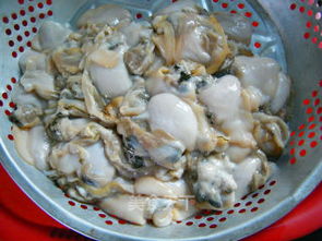 河蚌的做法怎样做好吃（河蚌的做法大全 河蚌怎么做）,河蚌的做法怎样做好吃（河蚌的做法大全 河蚌怎么做）,第2张
