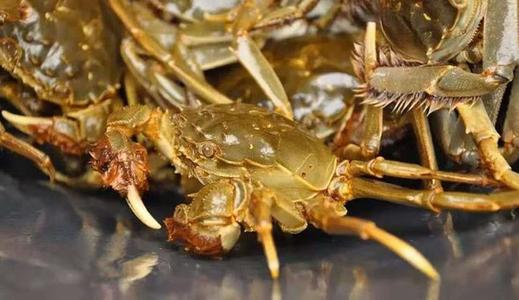 北京市摇号结果查询(北京摇号结果查询官网页面),第2张 北京市摇号结果查询(北京摇号结果查询官网页面),北京市摇号结果查询(北京摇号结果查询官网页面),第2张