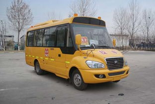 宇通校车图片（宇通校车图片及报价）,宇通校车图片（宇通校车图片及报价）,第2张